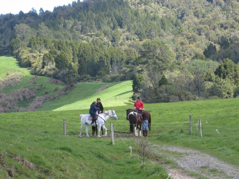 Kaimai Country Lodge Katikati Exteriör bild