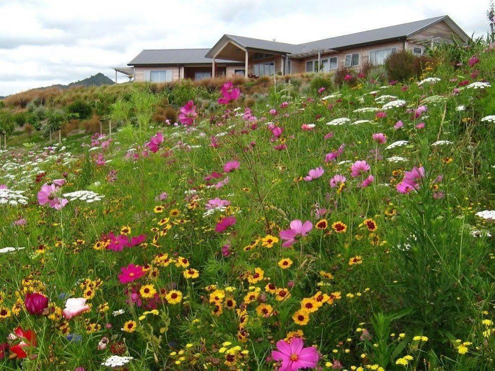 Kaimai Country Lodge Katikati Exteriör bild